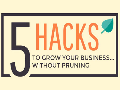 5 Hacks To Grow Your Business Without Pruning